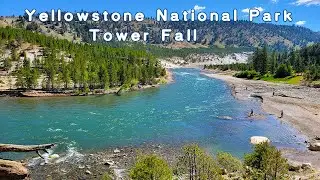 Yellowstone National Park // Tower Fall Vlog