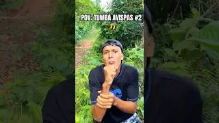 TUMBA AVISPAS # 2 🐝 *Sin Miedo A Nada* ☠️