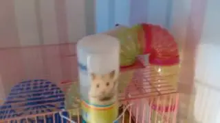Видео про жорку #3