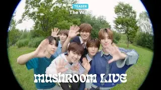 MUSHROOM LIVE SPECIAL 더윈드 The Wind TEASER