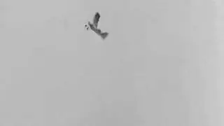 Mighty Atom model airplane engine 1934