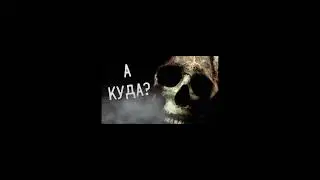 А КУДА? МЕМНАЯ ОЗВУЧКА ПРЕВЬЮ. 