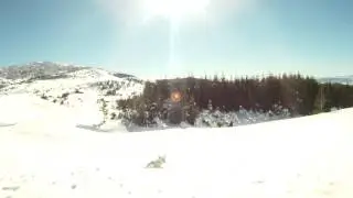 Roni diving into deep snow
