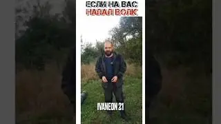 Если на Вас напал волк! 