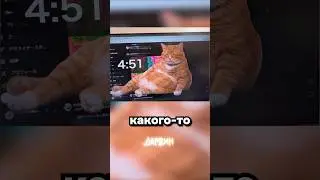 The Best Way to Quit TikTok