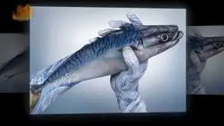 Водный мир  Гвидо Даниэле. Hand art animals. Body art