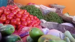 Finally Ham Aa Gy Market Chhattarpur 🌶️🍅