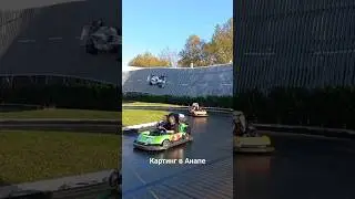 #картинг
