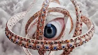Samsara Samadhi Life