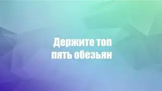 Топ 5 обезьян | Top 5