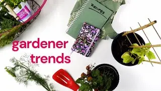 What Type of Gardener Are You? 4 Trends for Fall 2023