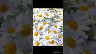 Речь
