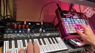 Micro Day At The Beach - MicroFreak & Deluge, one patch each