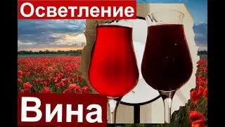 Осветление вина