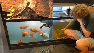 Taking Down ALL of My Aquariums 😞 | DIY Reptiles