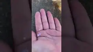 голые девушки на пляже
