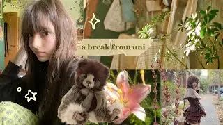 a day away ⋆˚꩜｡ home town vlog