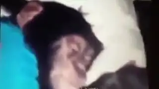 Ержан которому никуда не надо