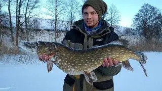 Сняли домик у озера. Трофейная щука. Встреча с охраной Нацпарка - Рыбалка на Браславских озерах