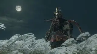 SEKIRO: Shadows Die Twice ➤