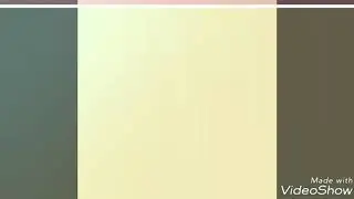Funny video of twins