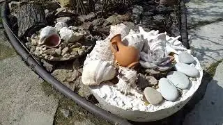 Результат зимовки РОЗ - хорошо с плюсом!