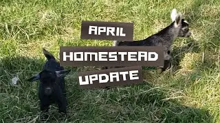 April 2024 Update
