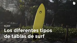Tipos de tablas de surf | Surf