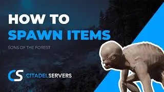 How to Spawn Items on a Sons of the Forest Server
