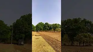 barish ke pahle hakai jutai #kheti #hakai #jutai #farm #tractor #farming  #barish#shorts #nature