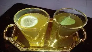 ২ টি ভিন্ন স্বাদের সরবতের রেসিপি ( লজ্ঞন - ৪ )