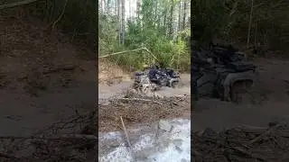 BRP 650 может все 💪 