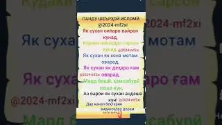 16 апреля 2024 г.