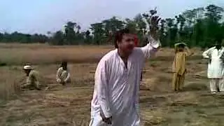 DHOKE AFGHAN