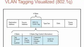 VLANs and VTP