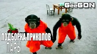 СБОРНИК ПРИКОЛОВ - ПАРЫ