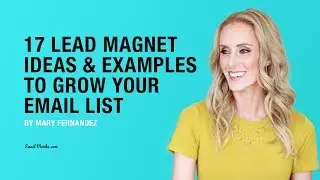 17 Lead Magnet Ideas and Examples