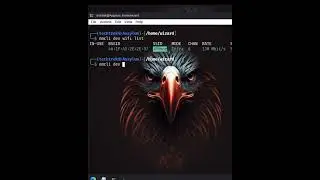 Learn to Connect Wi-Fi in Kali Linux Terminal 📡 