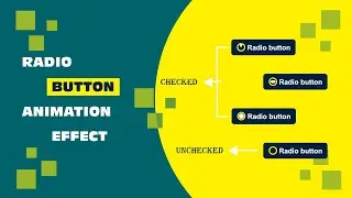 Radio Button Animation | Radio Button Effect | Code Effect