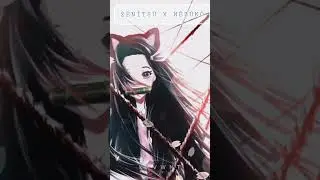 |•^•| ZĒNĪTSŪ X NĒZŪKŌ ZĒNĒZŪKŌ “SHĪP”
