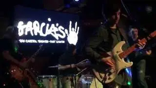 Almost Cut My Hair - Bobby Paltauf Band