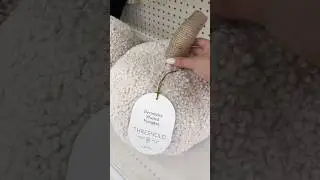 Fall target shopping 🍂🪵 #asmr #fall #short #cozy #targetfinds #target #falldecor #aesthetic #asmr