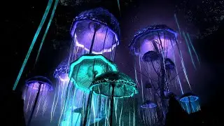 Короче я не знаю зачем и почему, но мне скучно)