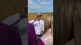 День Поля Соя