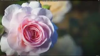 " Моему партнеру был звонок ... "