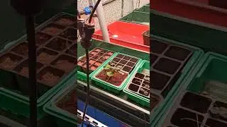 Посещение лаборатории Санкт-Петербургского аграрного университета.