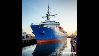 2.9 Пока мне все нравится