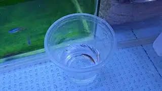Голубые неоны сразу в минус