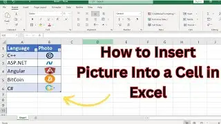 How to Insert Picture Into a Cell in Excel (a Step-by-Step Tutorial)