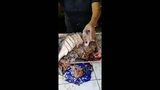 Bangus Dagupan | MJ TV